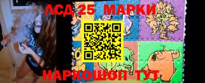 прущие грибы Краснодар