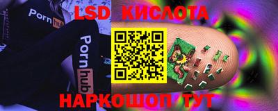 прущие грибы Краснодар