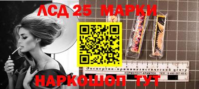 прущие грибы Краснодар