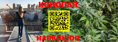 гашик Краснознаменск