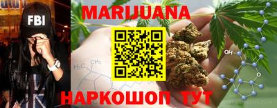 прущие грибы Краснодар