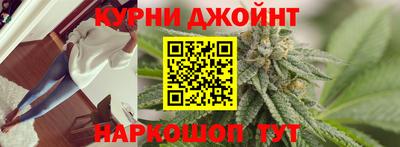 прущие грибы Краснодар