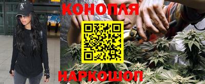прущие грибы Краснодар