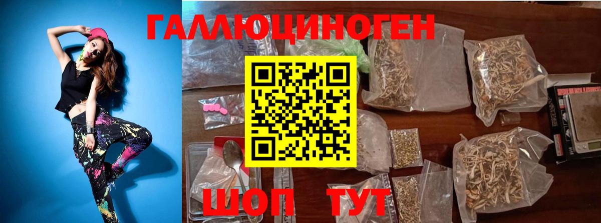 Псилоцибиновые грибы MAGIC MUSHROOMS  Вход с VPN  Юрга 